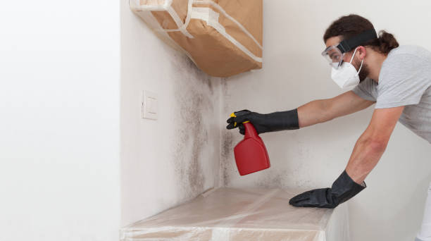 Professional Crawl Space Mold Remediation technician working in Hackensack, NJ