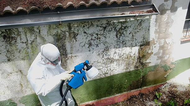 Top rated local Crawl Space Mold Remediation specialists in Hackensack, NJ